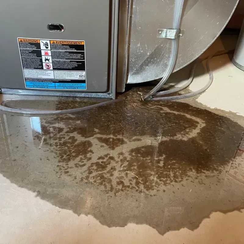 Appliance Leak Cleanup in Lakeside Park, KY